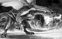 よくわかる「ゲーム世界」のモンスター事典 (廣済堂文庫):ドラゴン
